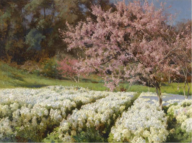 Antonio Mancini Spring blossom oil painting picture